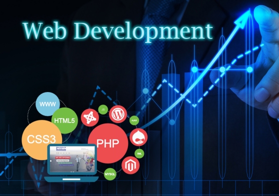 SGF-web-development-